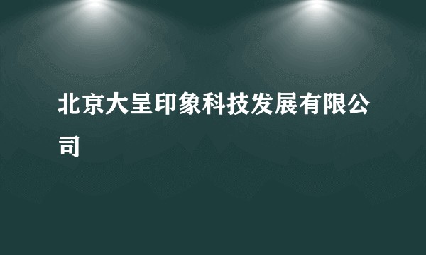 北京大呈印象科技发展有限公司