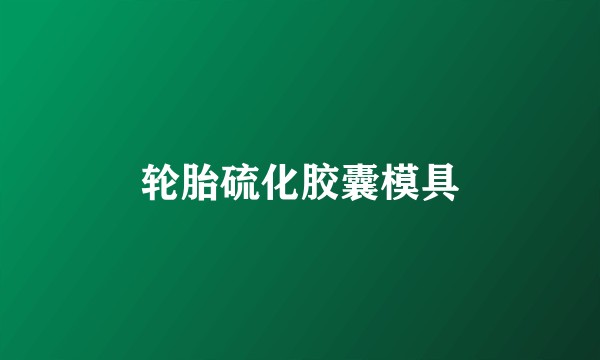 轮胎硫化胶囊模具