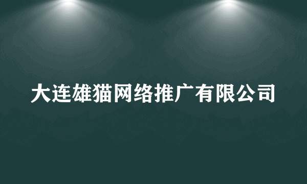 大连雄猫网络推广有限公司