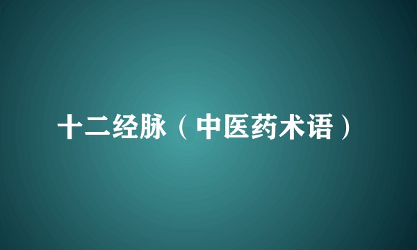 十二经脉（中医药术语）