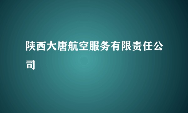 陕西大唐航空服务有限责任公司
