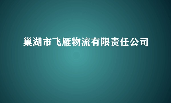 巢湖市飞雁物流有限责任公司