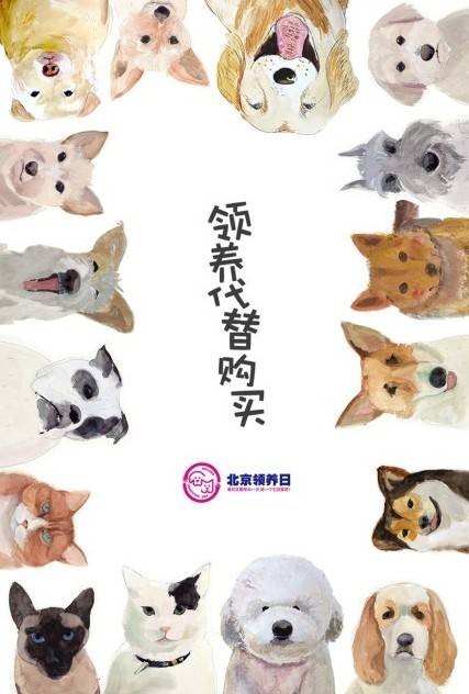 北京领养日