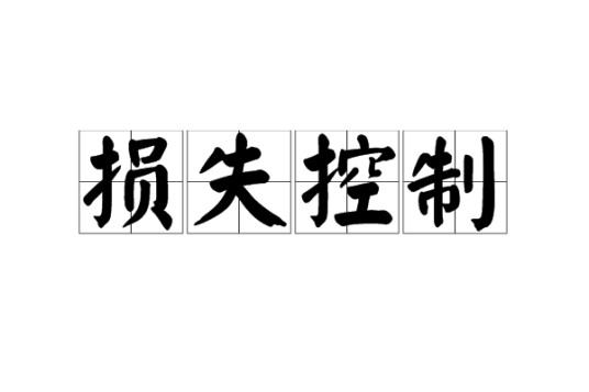 损失控制