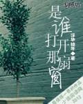 是谁打开那扇窗