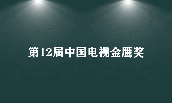 第12届中国电视金鹰奖