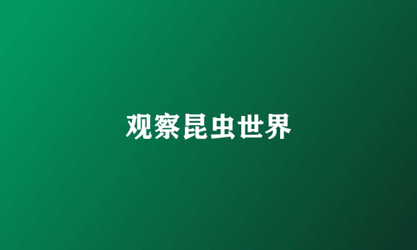 观察昆虫世界