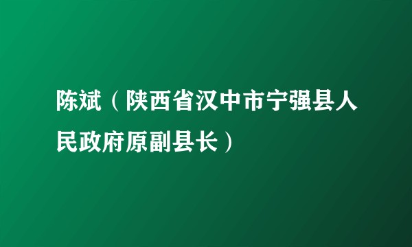 陈斌（陕西省汉中市宁强县人民政府原副县长）