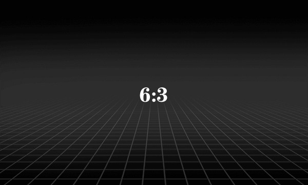 6:3