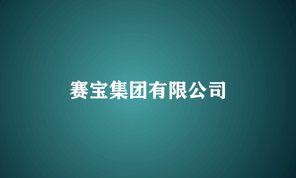 赛宝集团有限公司