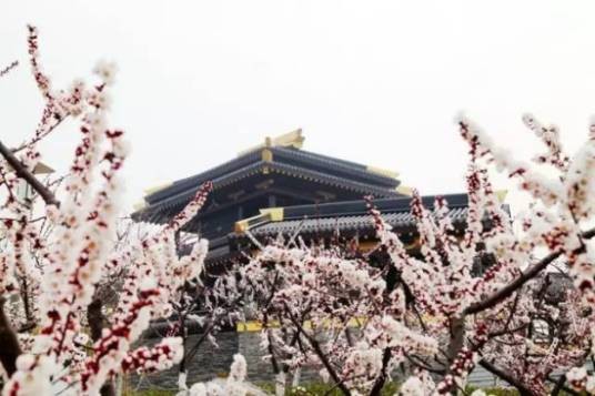 桃花岛公园
