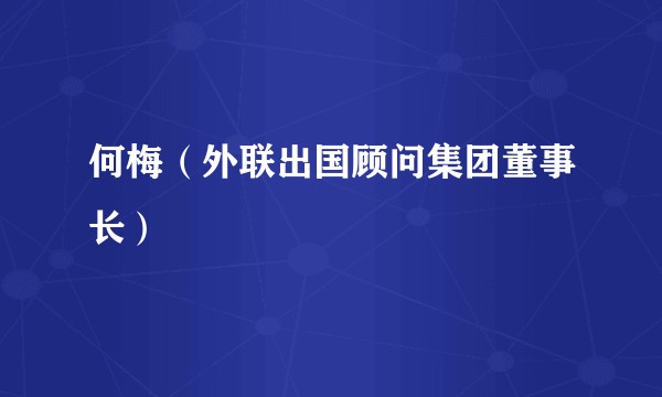 何梅（外联出国顾问集团董事长）