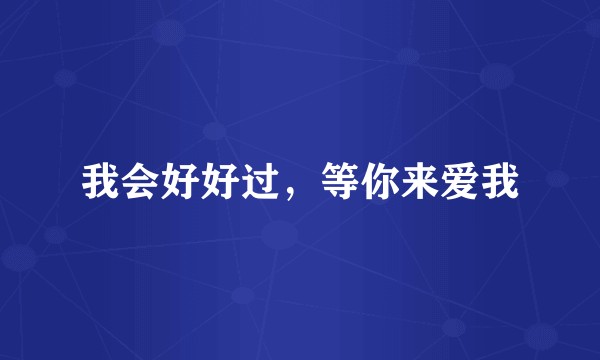我会好好过，等你来爱我