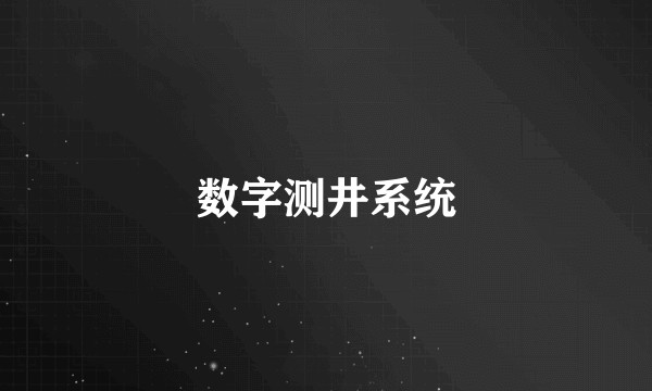 数字测井系统