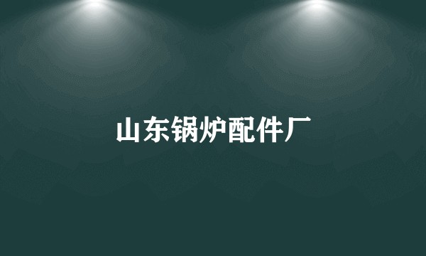 山东锅炉配件厂