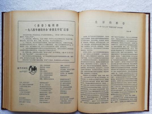 青春文学奖