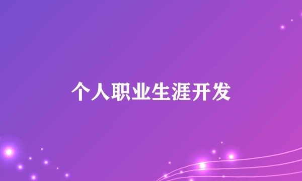 个人职业生涯开发