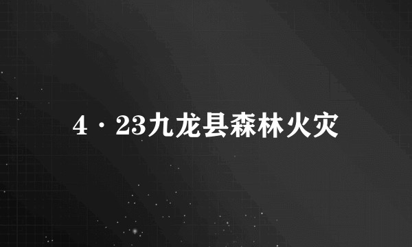 4·23九龙县森林火灾