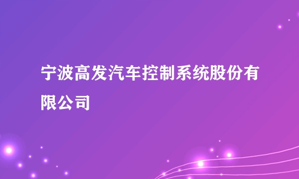 宁波高发汽车控制系统股份有限公司
