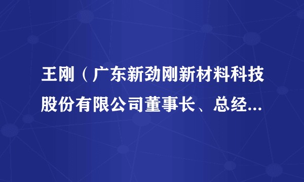 王刚（广东新劲刚新材料科技股份有限公司董事长、总经理、非独立董事候选人）