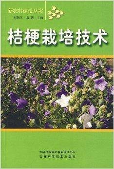 桔梗栽培技术