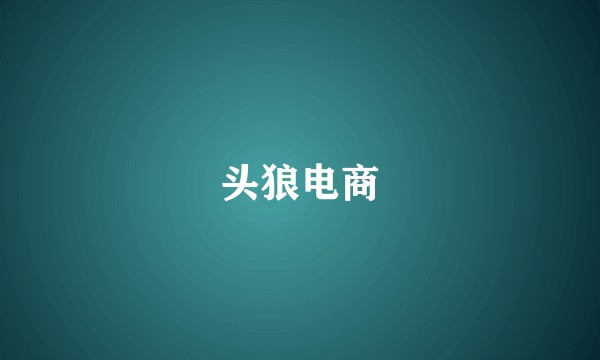 头狼电商
