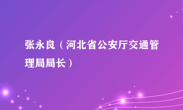 张永良（河北省公安厅交通管理局局长）