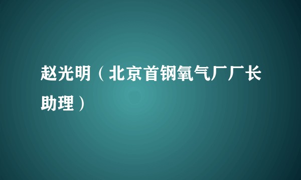 赵光明（北京首钢氧气厂厂长助理）