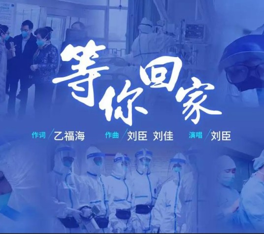 回家（刘臣演唱的歌曲）