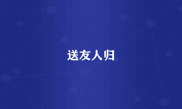 送友人归