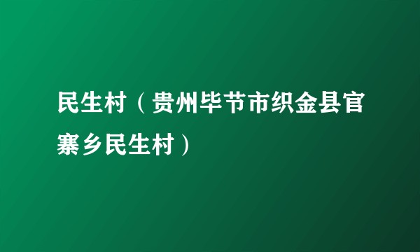 民生村（贵州毕节市织金县官寨乡民生村）