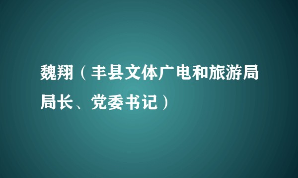 魏翔（丰县文体广电和旅游局局长、党委书记）