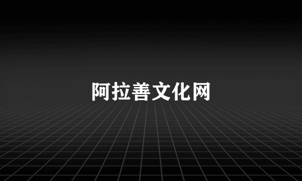 阿拉善文化网