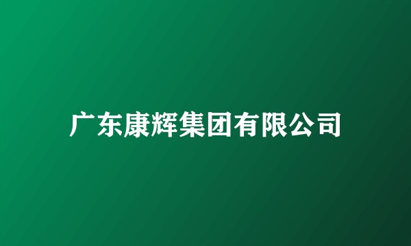 广东康辉集团有限公司