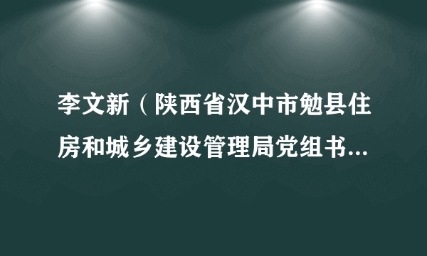 李文新（陕西省汉中市勉县住房和城乡建设管理局党组书记、局长）
