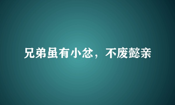 兄弟虽有小忿，不废懿亲
