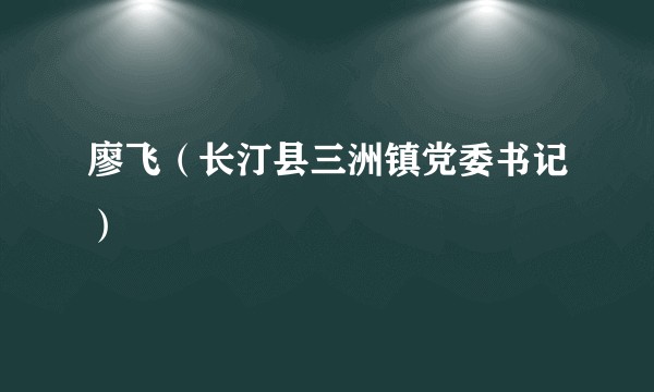 廖飞（长汀县三洲镇党委书记）