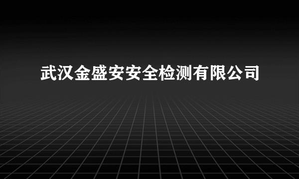 武汉金盛安安全检测有限公司