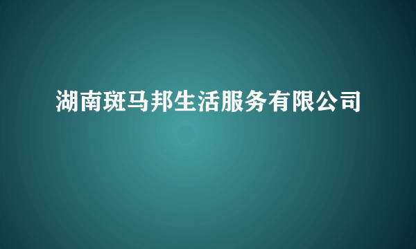 湖南斑马邦生活服务有限公司