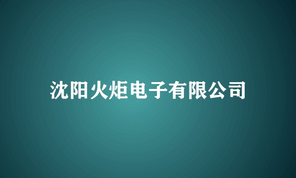 沈阳火炬电子有限公司