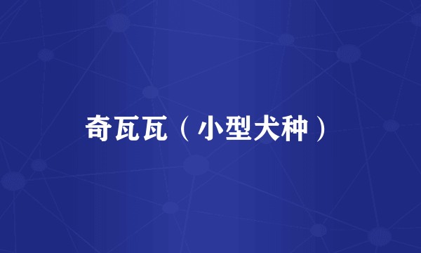 奇瓦瓦(小型犬种)
