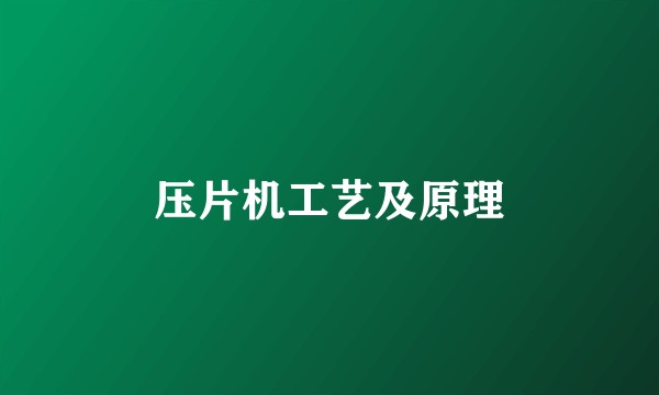 压片机工艺及原理