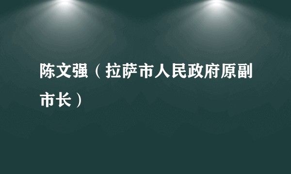 陈文强（拉萨市人民政府原副市长）