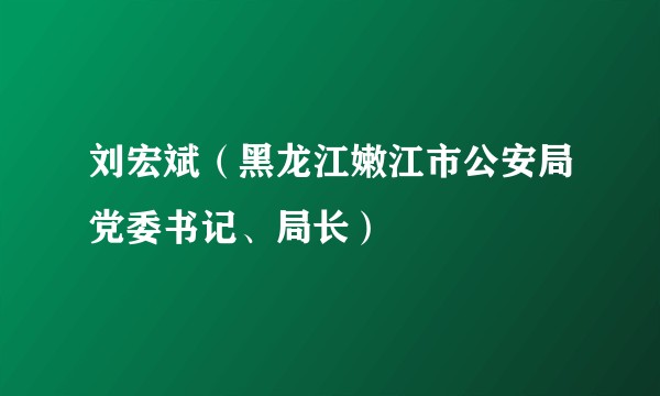 刘宏斌（黑龙江嫩江市公安局党委书记、局长）