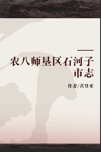 农八师垦区石河子市志