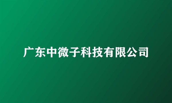 广东中微子科技有限公司