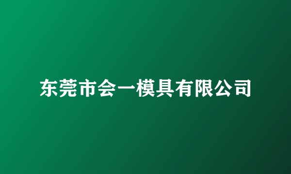 东莞市会一模具有限公司