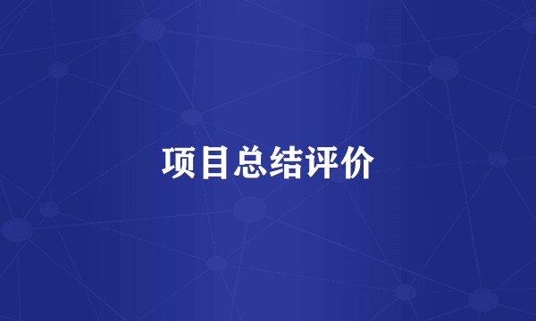 项目总结评价