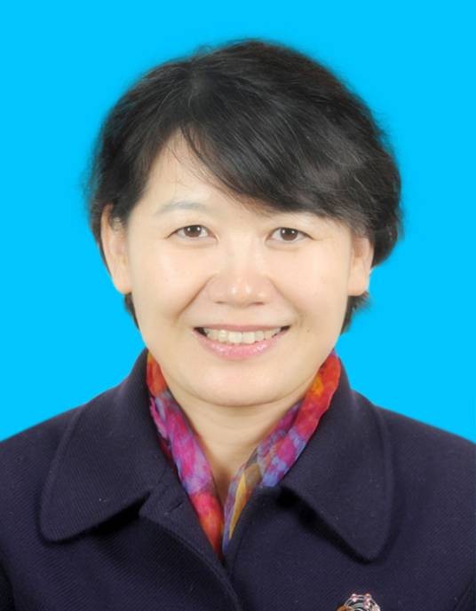 史小红（民革十四届中央社会和法治委员会副主任）