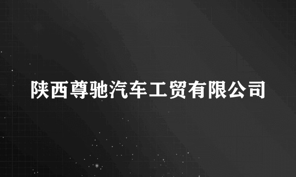 陕西尊驰汽车工贸有限公司